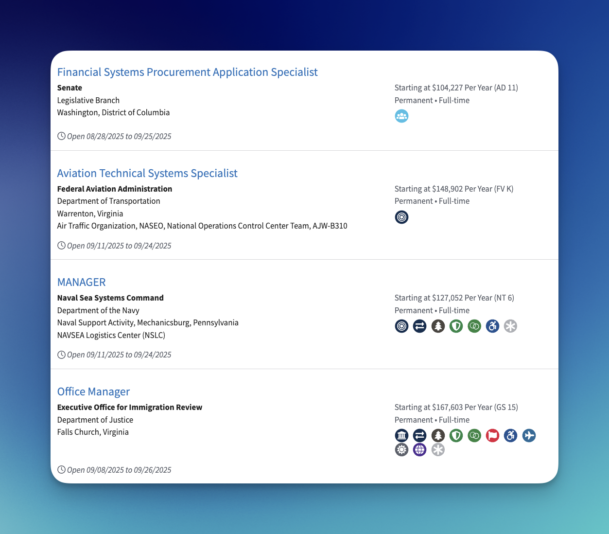 USAJOBS resume example showing a complex interface